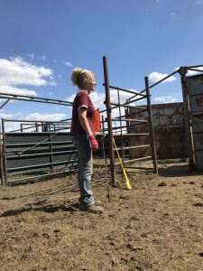 The day of 2018 Bent Iron Bison Sorting with Ruth as flag girl