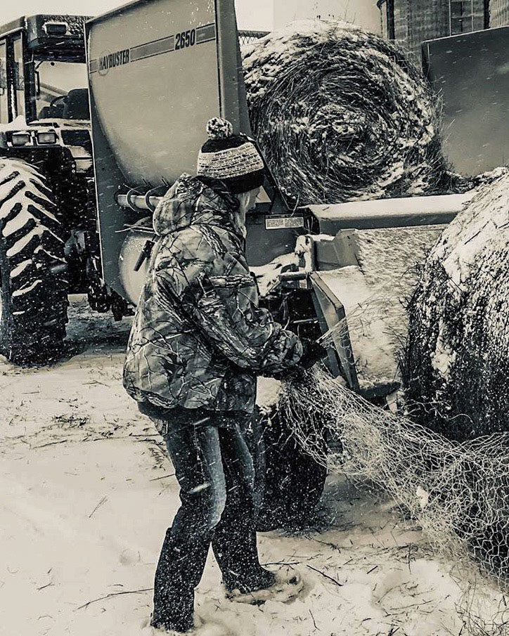 FEEDING HAY